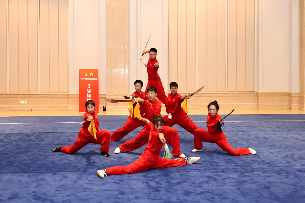 武术表演