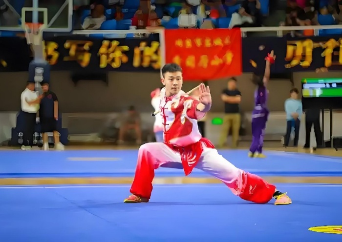 参加职业武术比赛