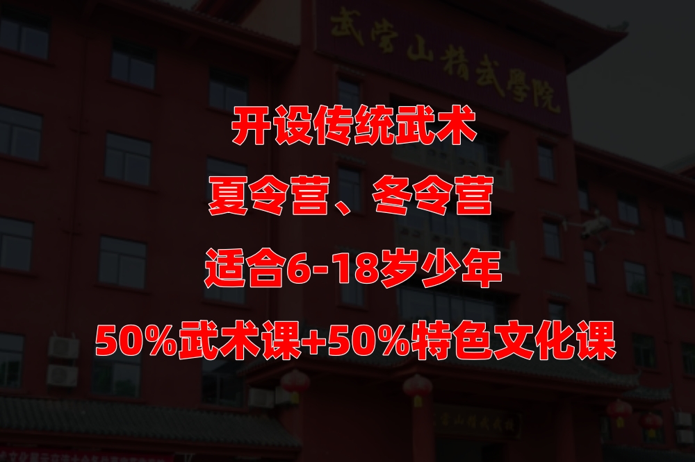 武术夏令营冬令营