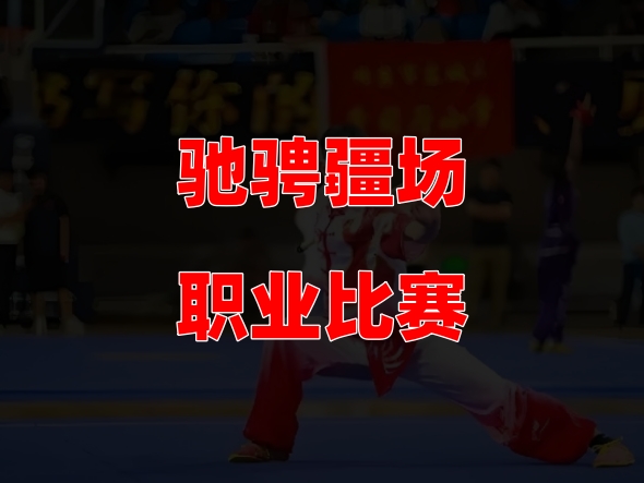 参加武术比赛摘金夺银